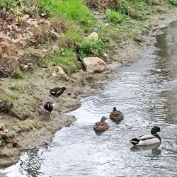 Parque Urbano de Torres Vedras - Torres Vedras