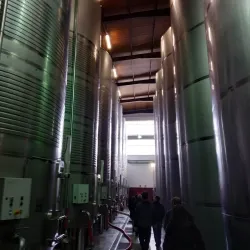 Quinta da Almiara - Torres Vedras