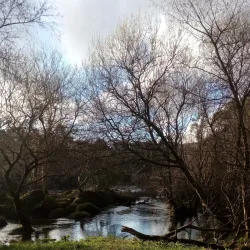 Lima River - Viana do Castelo