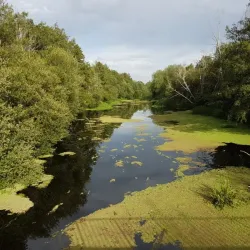 Lima River - Viana do Castelo