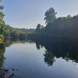 Lima River - Viana do Castelo