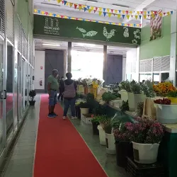 Mercado Municipal de Viana do Castelo - Viana do Castelo