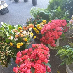 Mercado Municipal de Viana do Castelo - Viana do Castelo