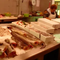 Mercado Municipal de Viana do Castelo - Viana do Castelo