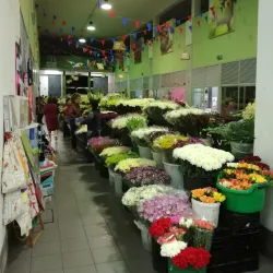 Mercado Municipal de Viana do Castelo - Viana do Castelo