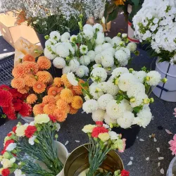 Mercado Municipal de Viana do Castelo - Viana do Castelo