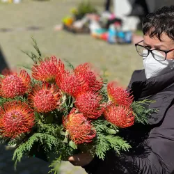 Mercado Municipal de Viana do Castelo - Viana do Castelo