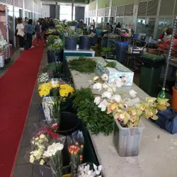 Mercado Municipal de Viana do Castelo - Viana do Castelo