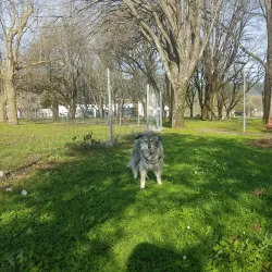 Parque da Cidade de Viana do Castelo - Viana do Castelo