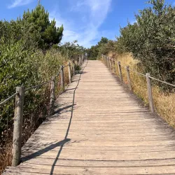 Praia do Cabedelo - Viana do Castelo