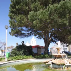 Igreja Matriz de Vieira de Leiria - Vieira de Leiria