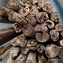 Mercado Municipal de Vieira de Leiria - Vieira de Leiria