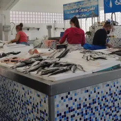 Mercado Municipal de Vieira de Leiria - Vieira de Leiria