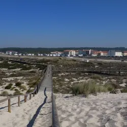 Parque de Merendas da Vieira - Vieira de Leiria