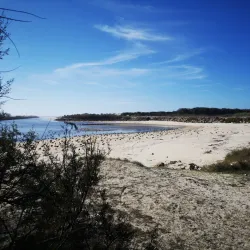 Parque de Merendas da Vieira - Vieira de Leiria