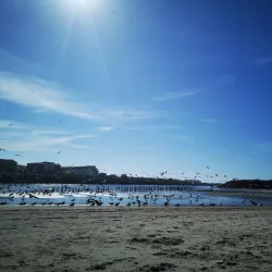 Parque de Merendas da Vieira - Vieira de Leiria
