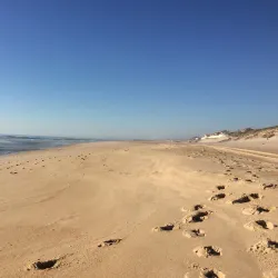 Parque de Merendas da Vieira - Vieira de Leiria