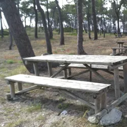 Parque de Merendas da Vieira - Vieira de Leiria