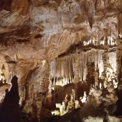 Parque Natural das Serras de Aire e Candeeiros - Vieira de Leiria