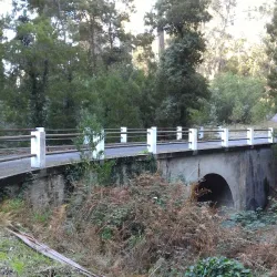 Pinhal de Leiria (Leiria Pine Forest) - Vieira de Leiria