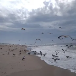 Praia da Vieira - Vieira de Leiria