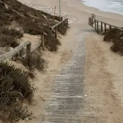 Praia do Pedrógão - Vieira de Leiria