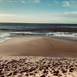 Praia do Pedrógão - Vieira de Leiria