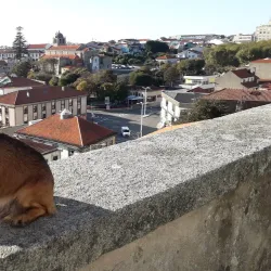 Aqueduct of Vila do Conde - Vila do Conde