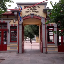 Vila do Conde Market - Vila do Conde