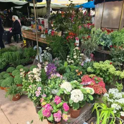 Vila do Conde Market - Vila do Conde