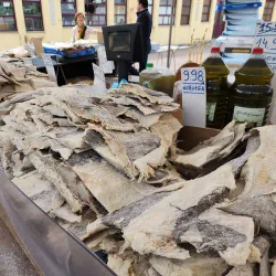 Vila do Conde Market - Vila do Conde