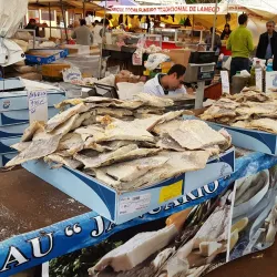 Vila do Conde Market - Vila do Conde