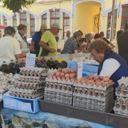Vila do Conde Market - Vila do Conde