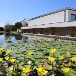 Casa do Território - Vila Nova de Famalicao