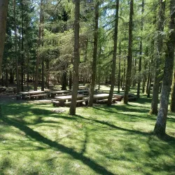 Parque da Lameira - Vila Nova de Famalicao