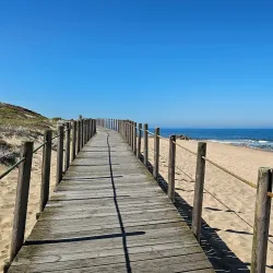 Beach of Miramar - Vila Nova de Gaia
