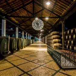 Port Wine Cellars (Caves) - Vila Nova de Gaia
