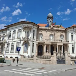Vila Nova de Gaia Municipal Museum - Vila Nova de Gaia