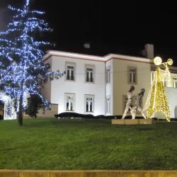 Vila Nova de Gaia Municipal Museum - Vila Nova de Gaia