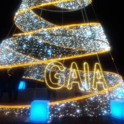 Vila Nova de Gaia Municipal Museum - Vila Nova de Gaia