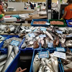 Mercado Municipal de Vila Real de Santo António - Vila Real de Santo Antonio