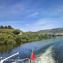 Douro Museum (Museu do Douro) - Vila Real Branch - Vila Real