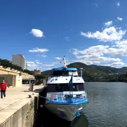 Douro Museum (Museu do Douro) - Vila Real Branch - Vila Real