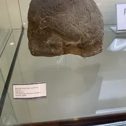 Museu de Vila Real - Vila Real