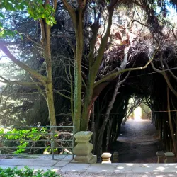 Solar de Mateus - Vila Real