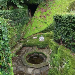 Parque do Fontelo - Viseu