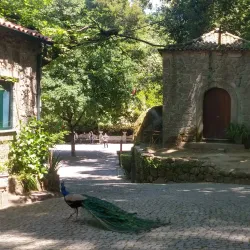 Parque do Fontelo - Viseu