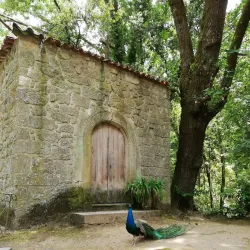 Parque do Fontelo - Viseu