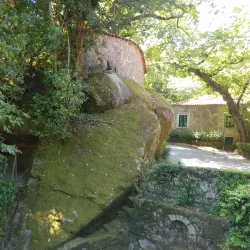 Parque do Fontelo - Viseu