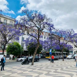 Rossio Square (Praça do Rossio) - Viseu
